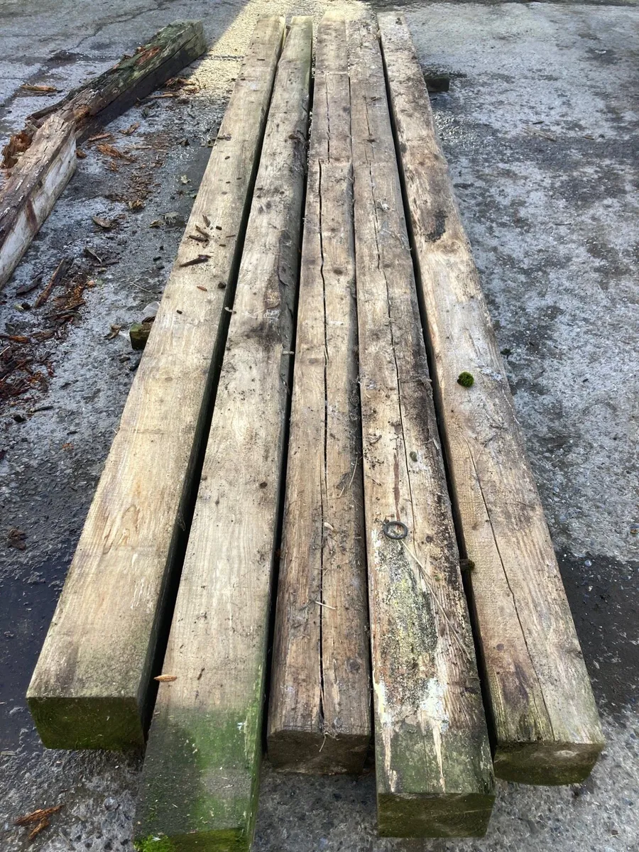 Vegetable  beds - Image 2