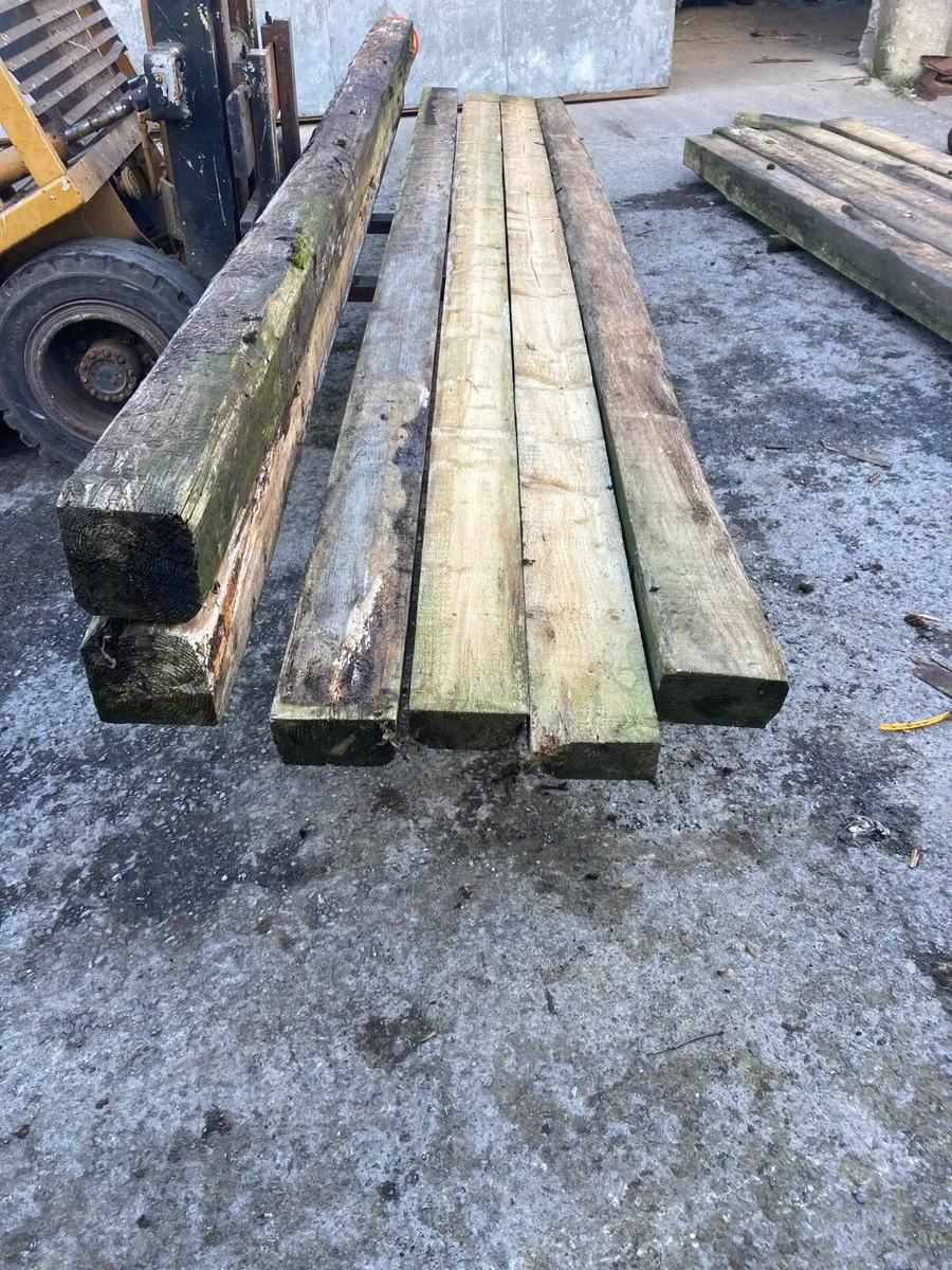 Vegetable  beds - Image 3