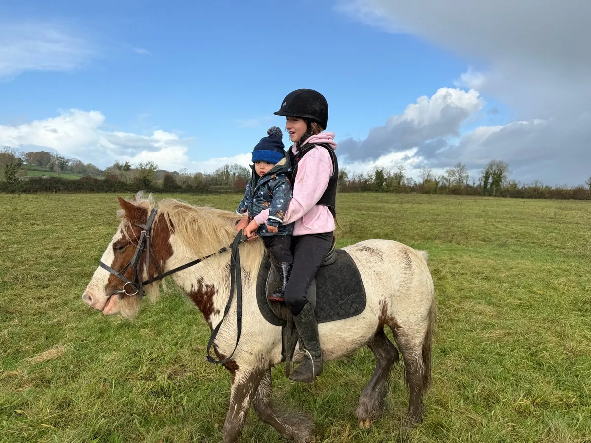 Superstar 12.2 pony - Image 1