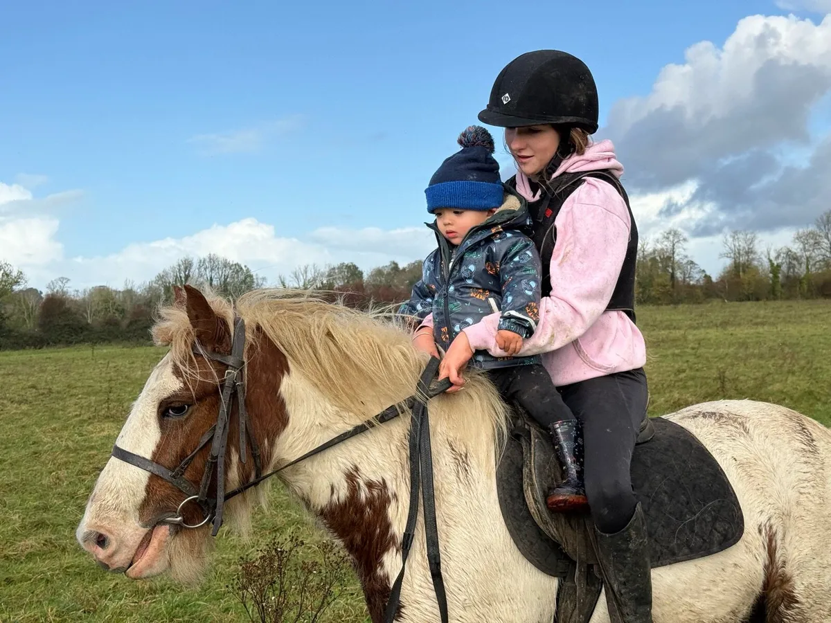 Superstar 12.2 pony - Image 2