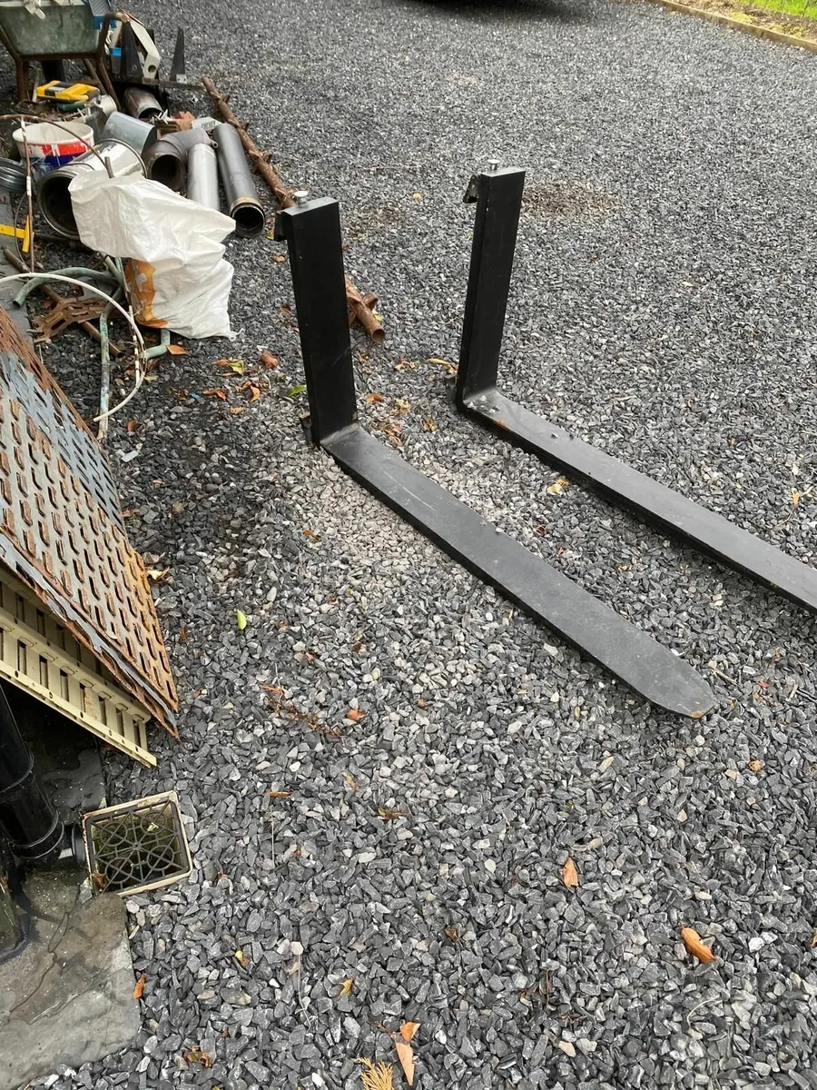 Forklift arms - Image 1