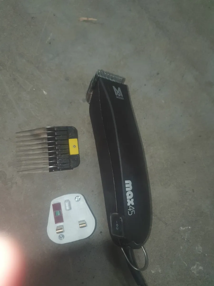 Dog Grooming Equipment - Image 1