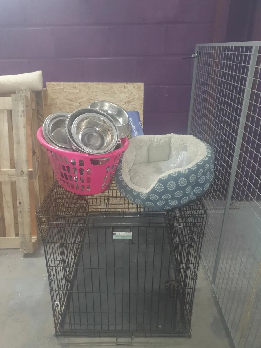 Dog Grooming Equipment - Image 2