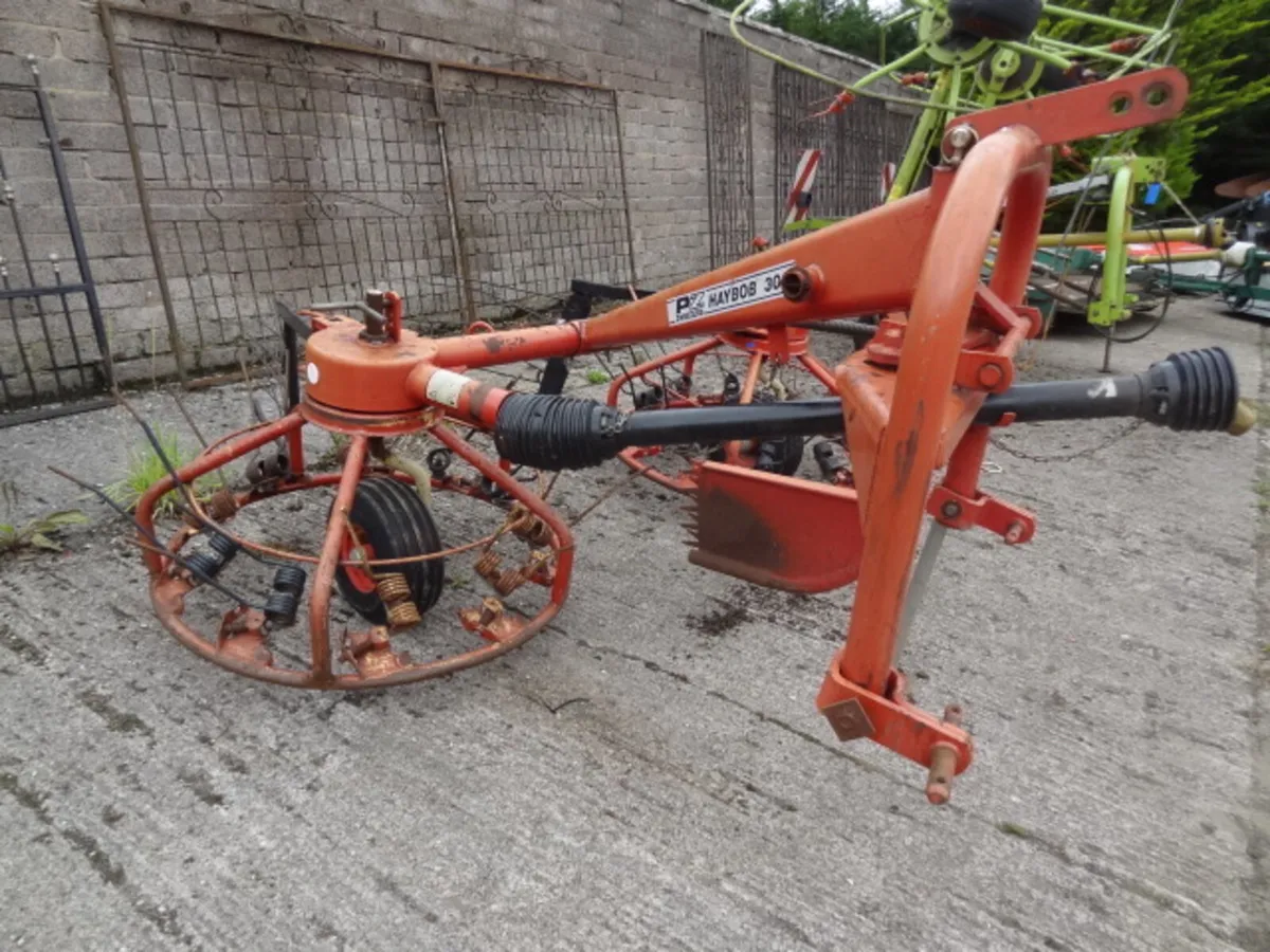 PZ 300 Haybob - Image 3