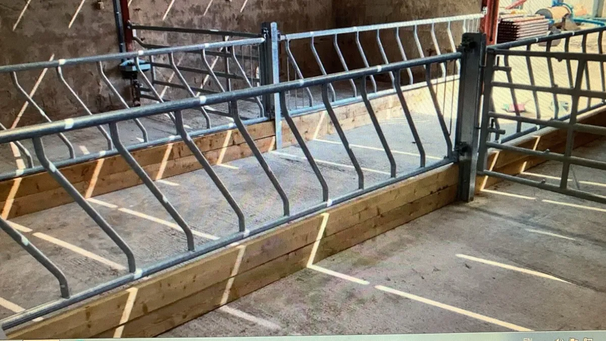 Precast Hoof bath - Image 4