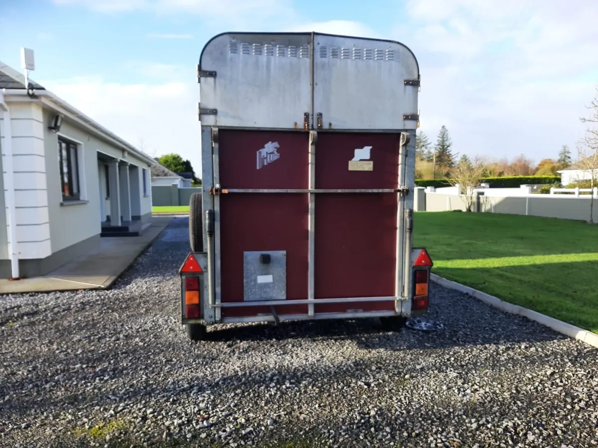 Horse box - Image 4