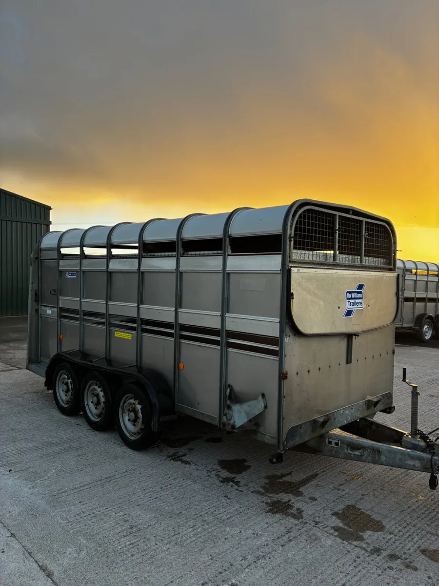 2021 Ifor Williams 14ft livestock trailer - Image 1