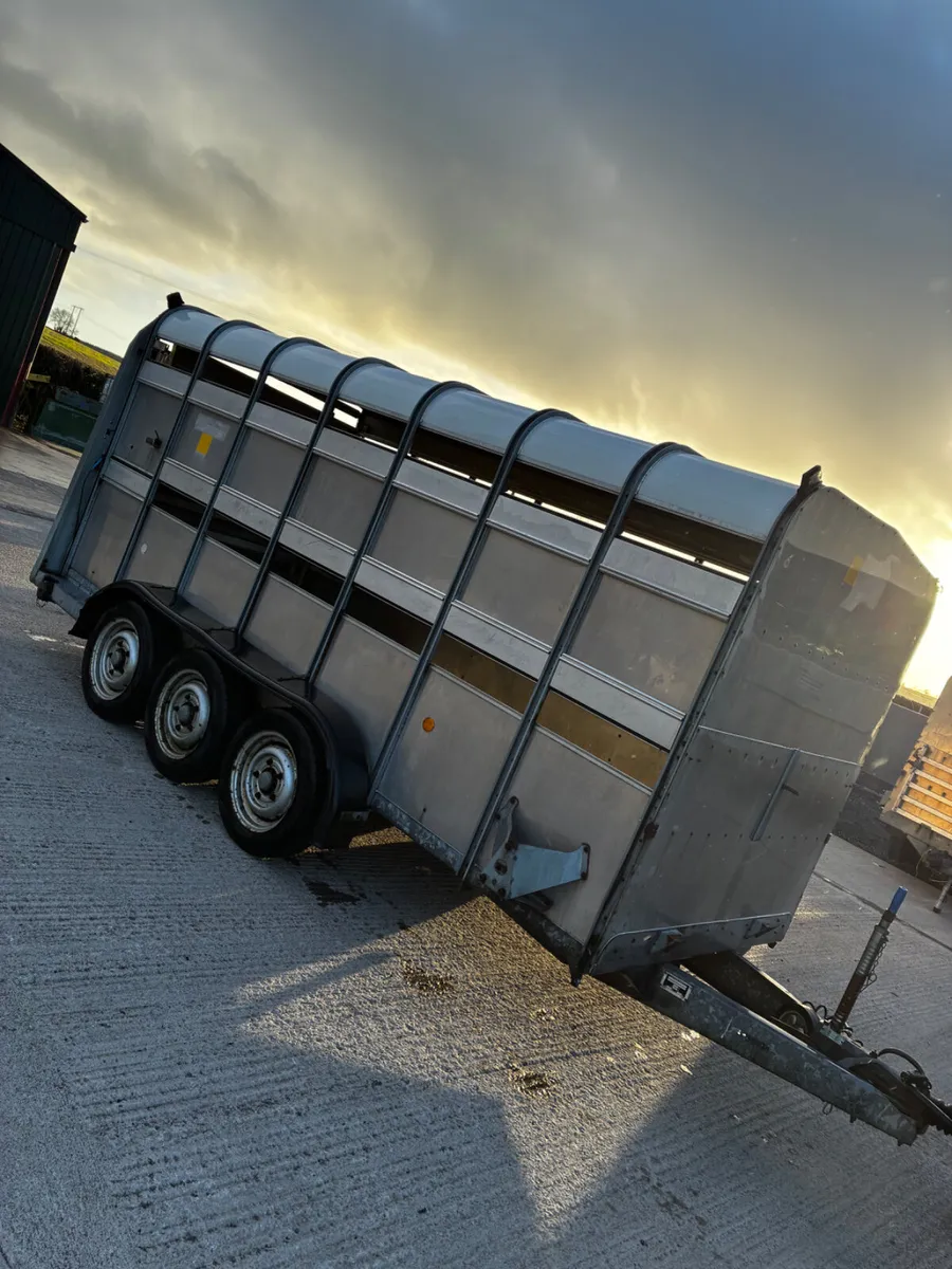 14ft ifor Williams livestock with decks - Image 1