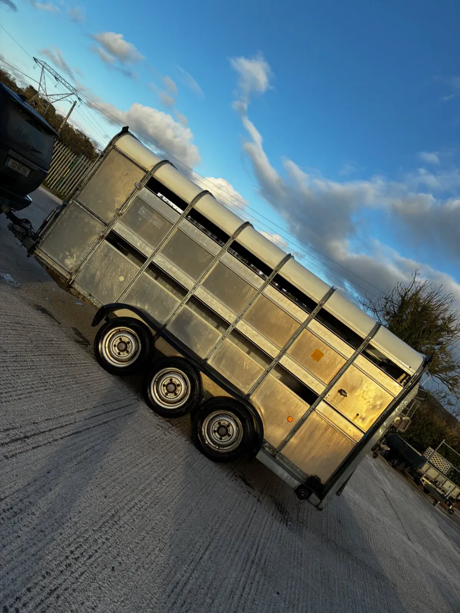 14ft ifor Williams livestock with decks - Image 4