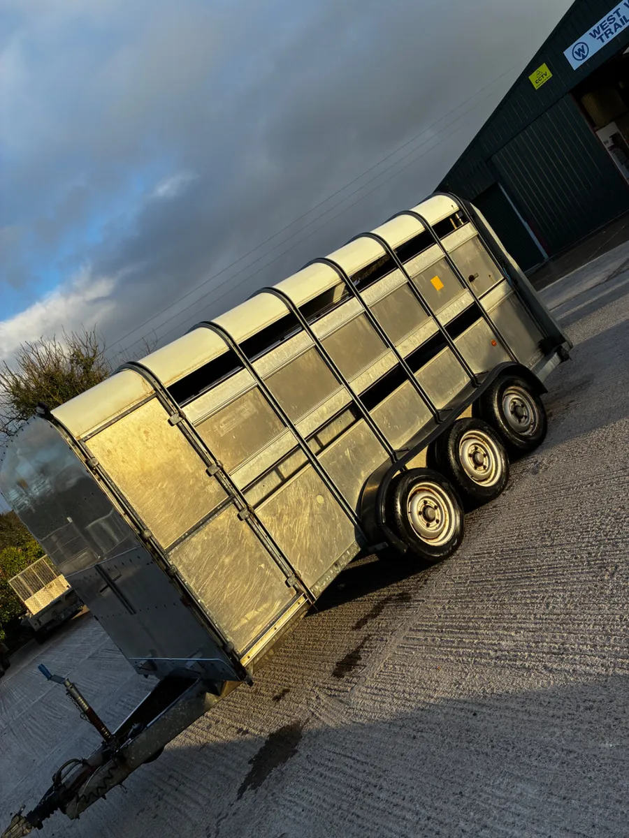 14ft ifor Williams livestock with decks - Image 2