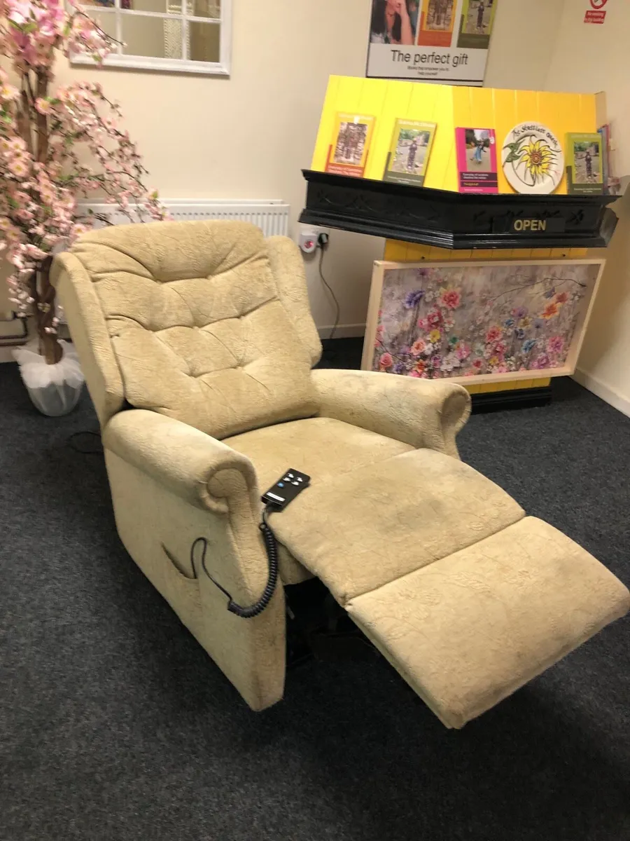 Electric Rise Recline Chair - Image 3