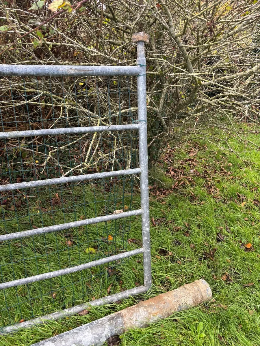Field Gate Steel - Image 2