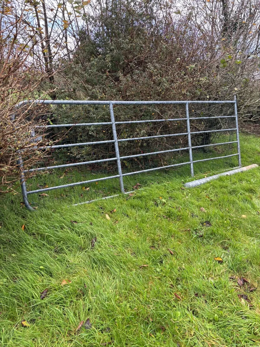 Field Gate Steel - Image 1