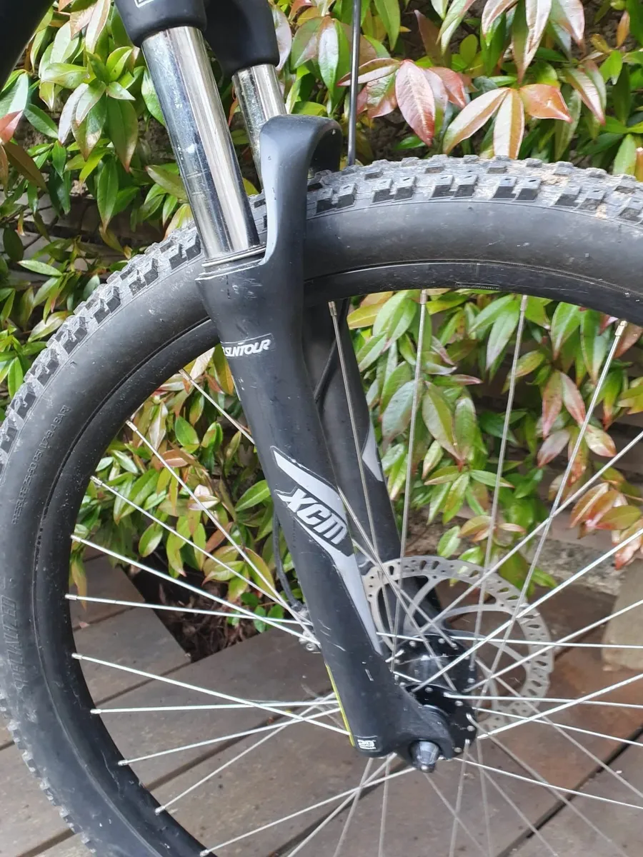 Specialized Rockhopper Sport mountain bike - Image 4