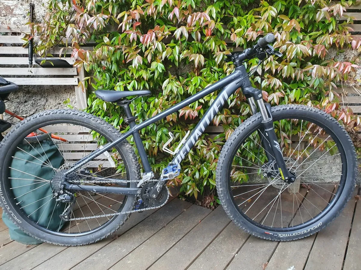 Specialized Rockhopper Sport mountain bike - Image 1