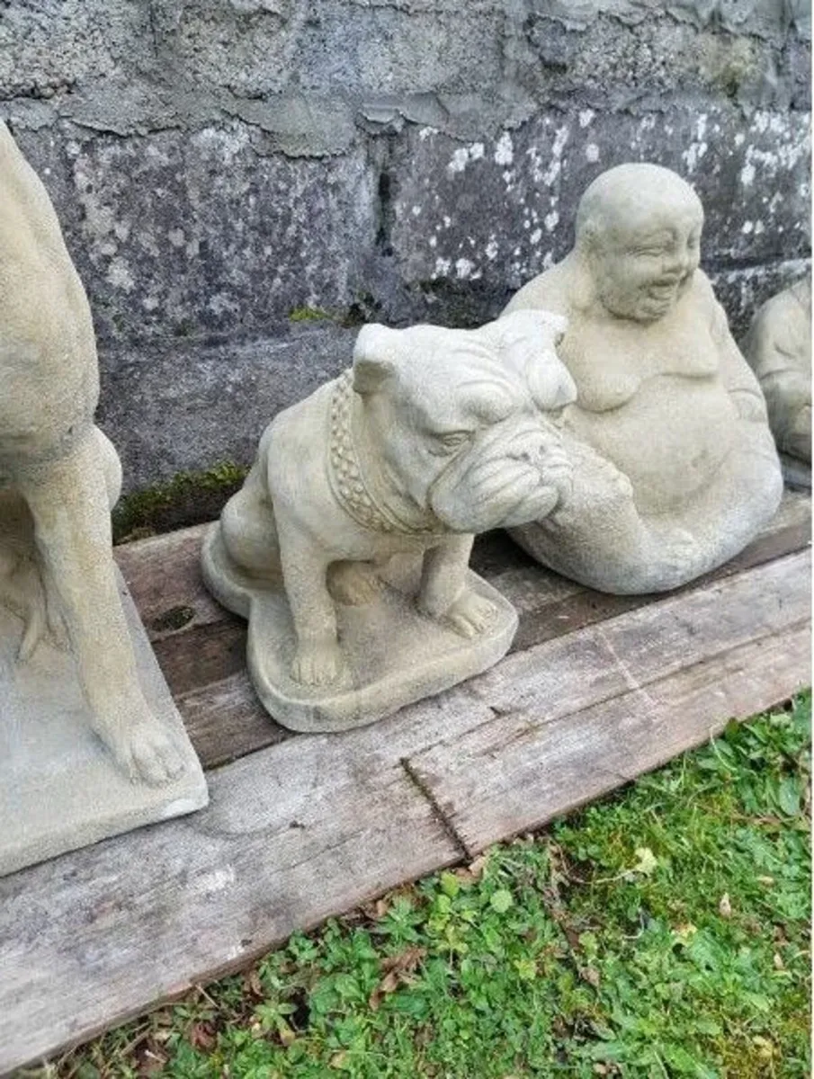 Bulldog – EG008 - Image 2