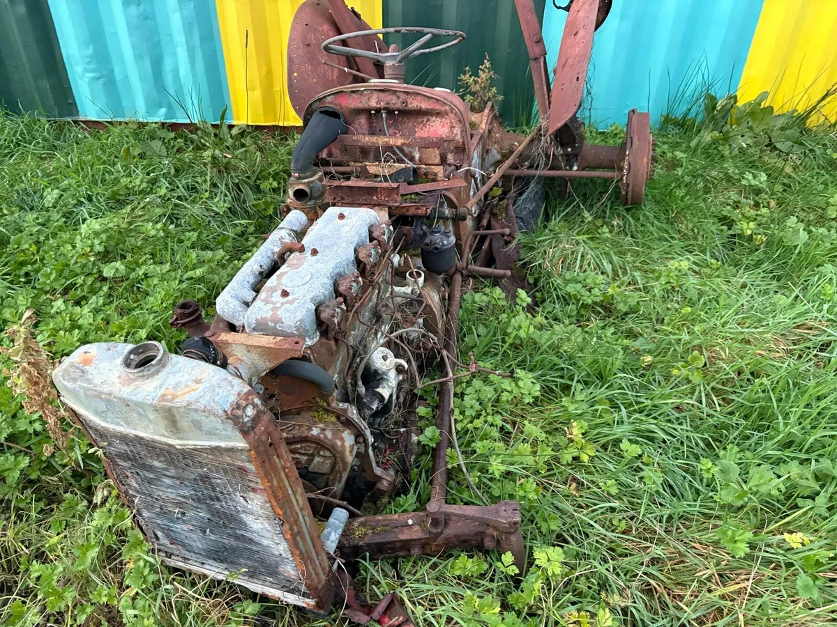 Ferguson 35 goldbelly