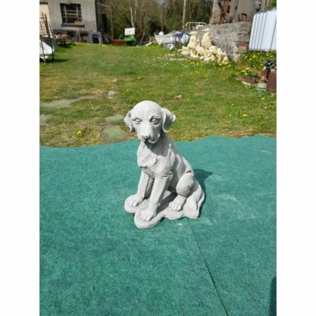 D0g – Labrador med-GL-DS053