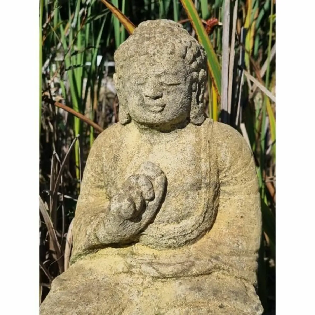 Buddha Lotus EG110 - Image 1