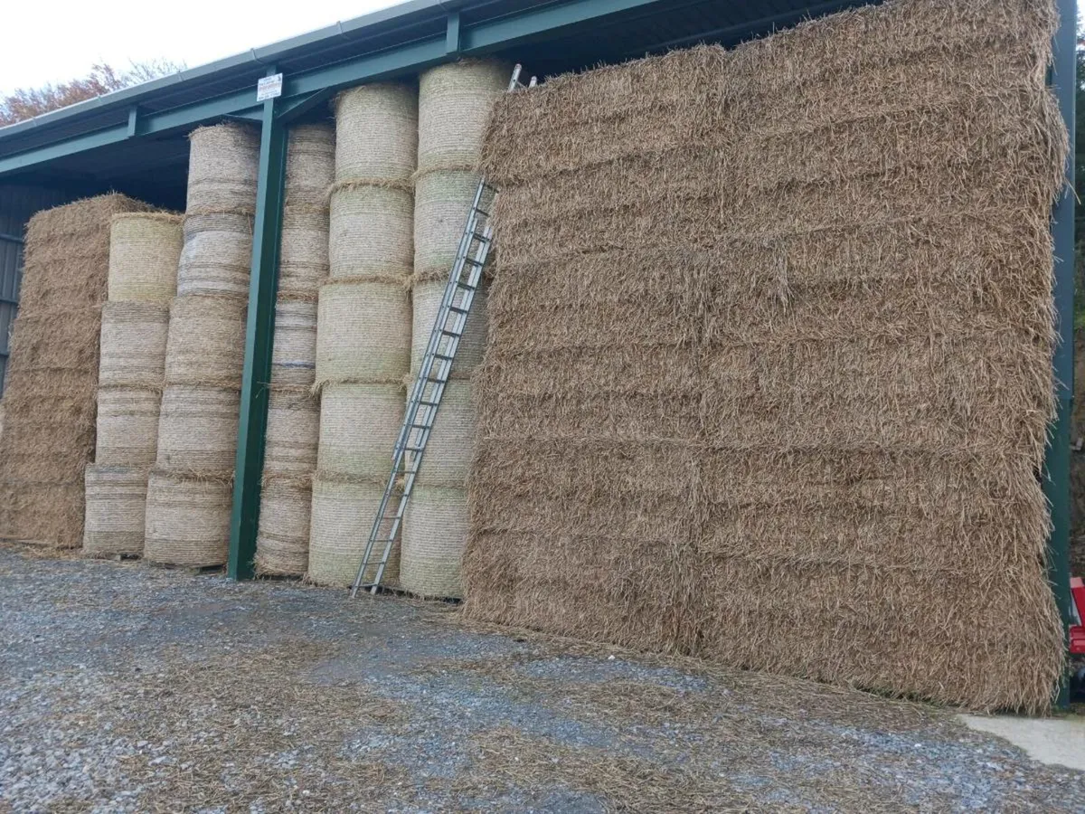 Straw for Sale - Image 2