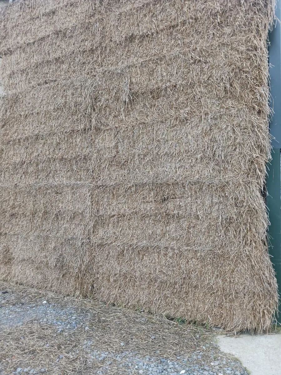 Straw for Sale - Image 3