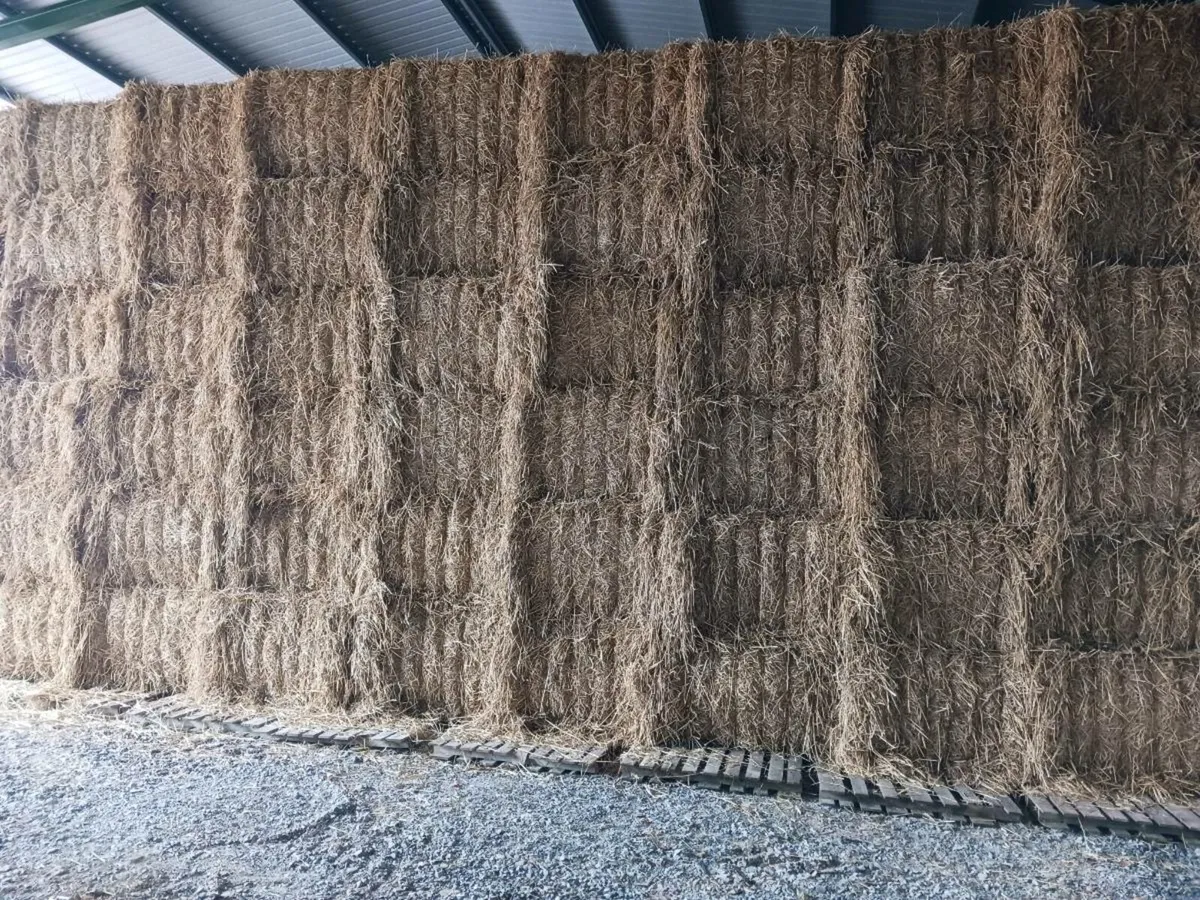 Straw for Sale - Image 1