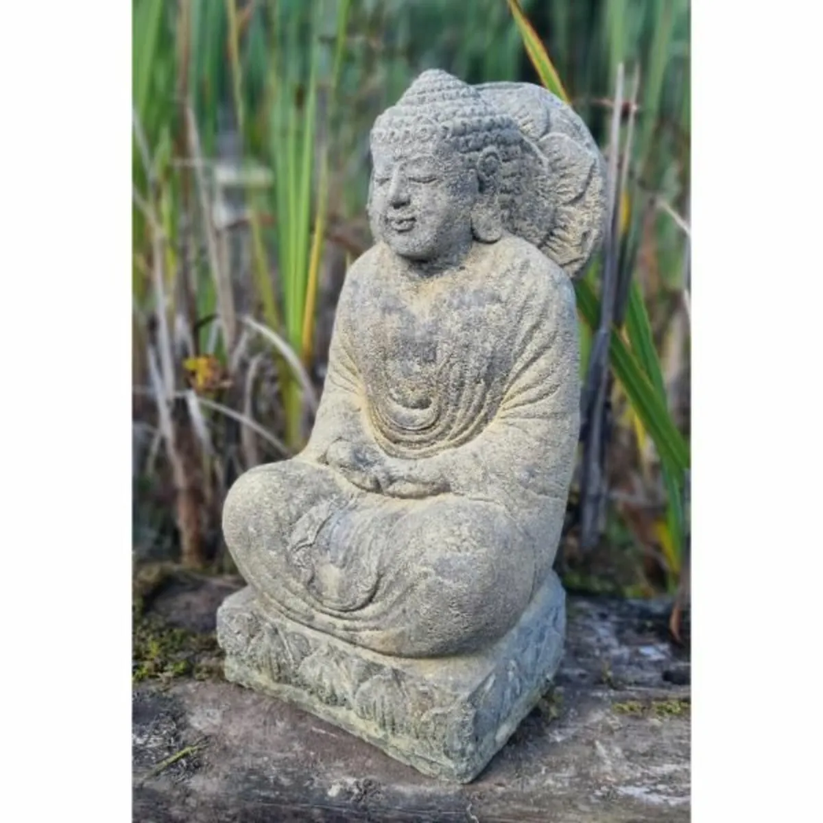 Buddha Wisdom EG112 - Image 1