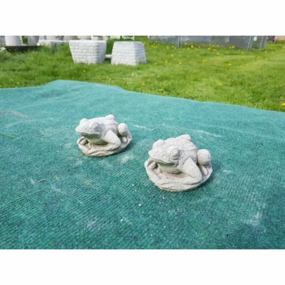 Frog – Small-GL-SA029