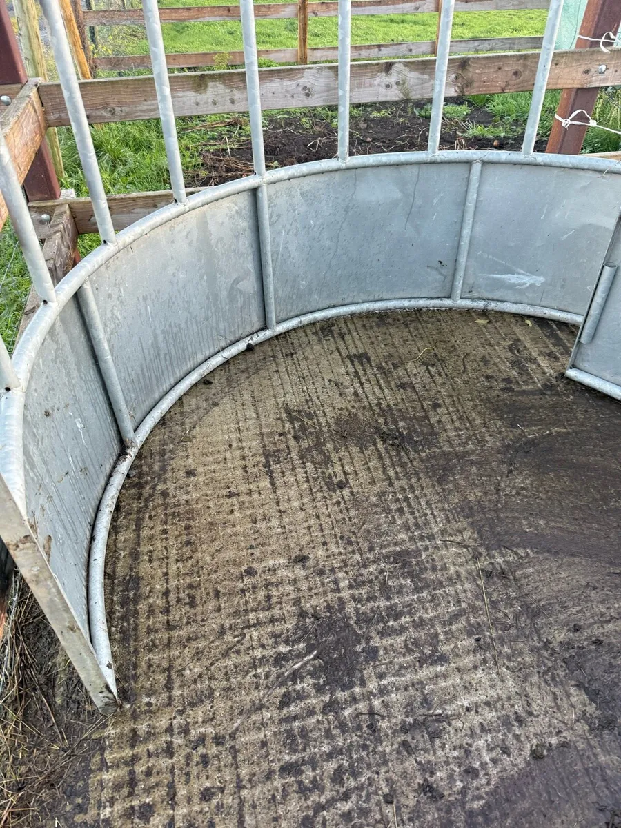 Round feeders - Image 3
