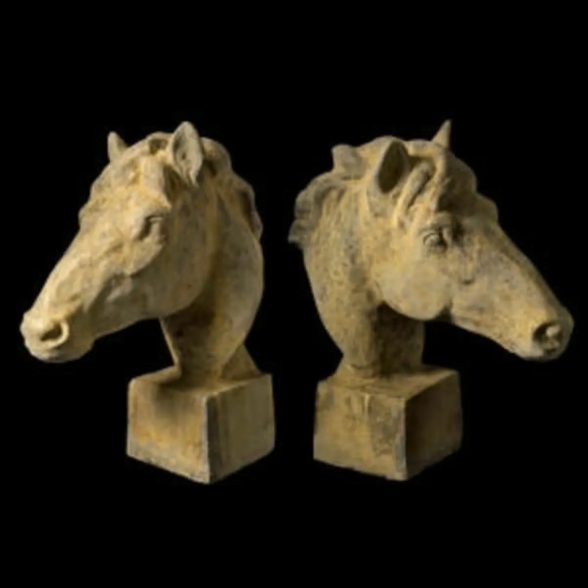 Horse Head EG018