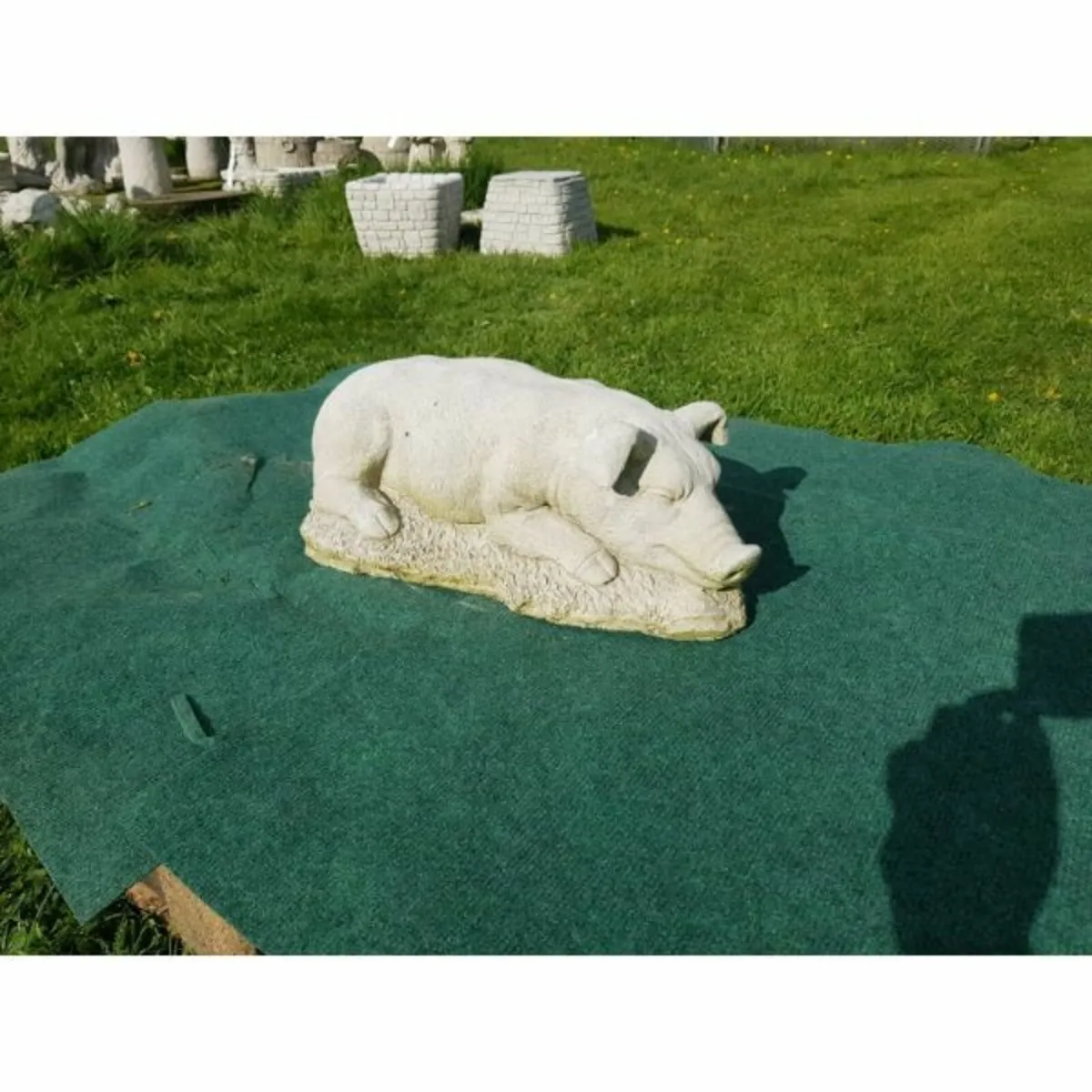 Hog – Sleeping-GL-SA026