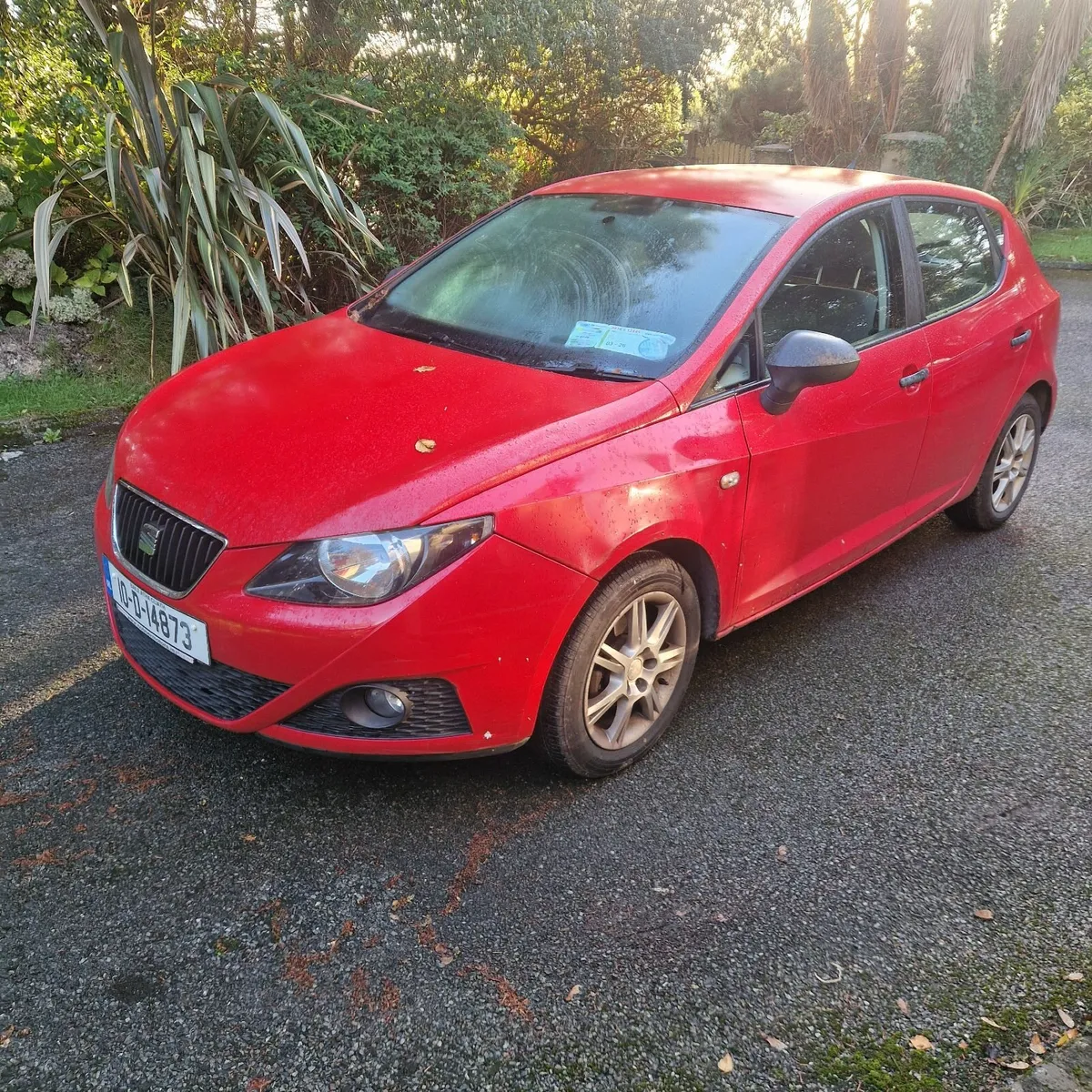SEAT Ibiza 2010 - Image 2