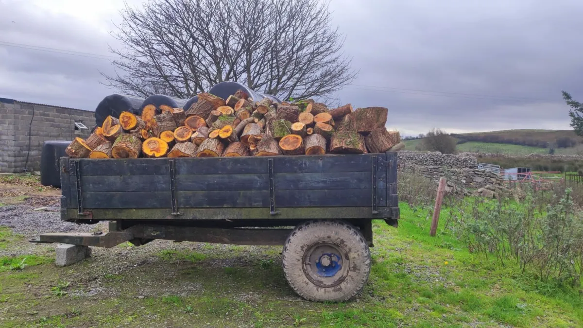 Firewood - Image 1