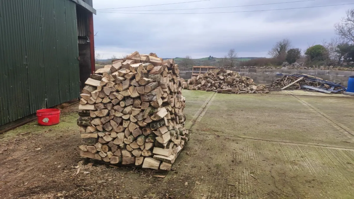 Firewood - Image 2