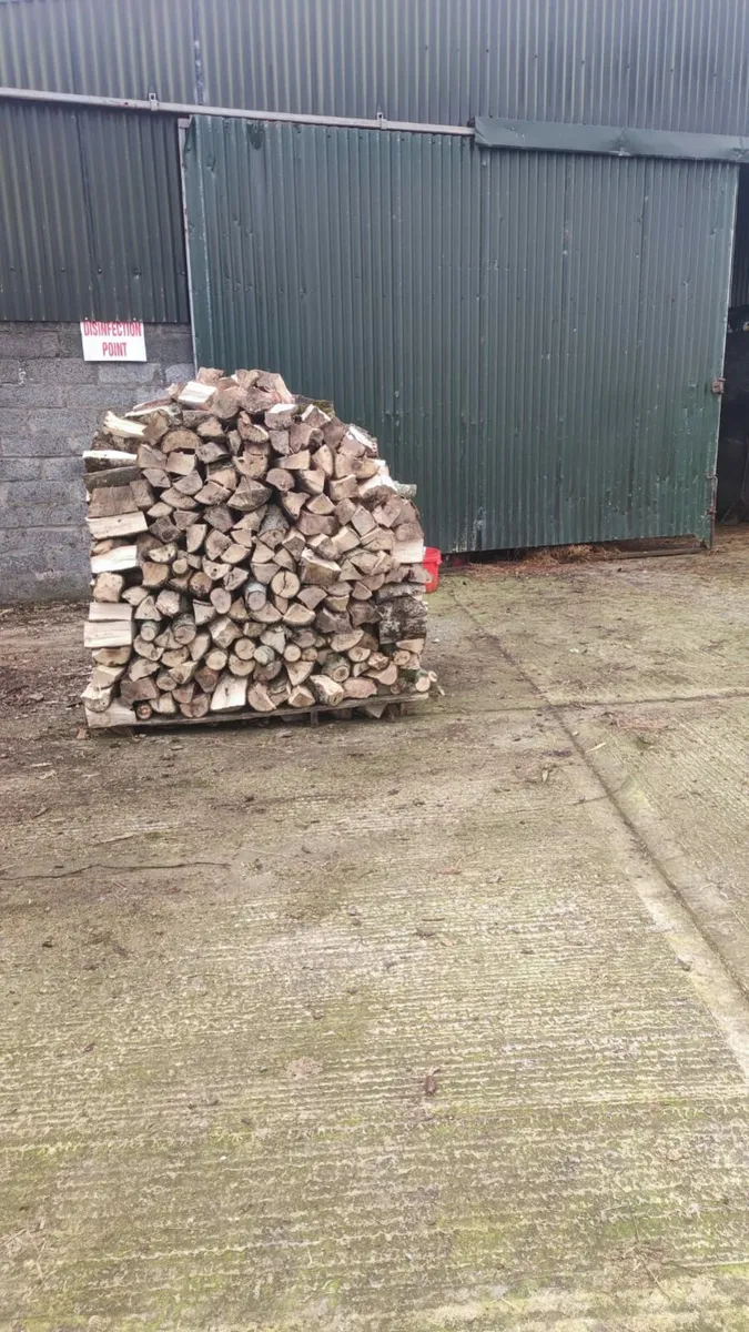 Firewood - Image 3