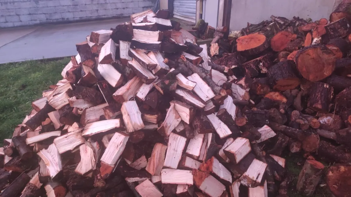 Firewood - Image 4