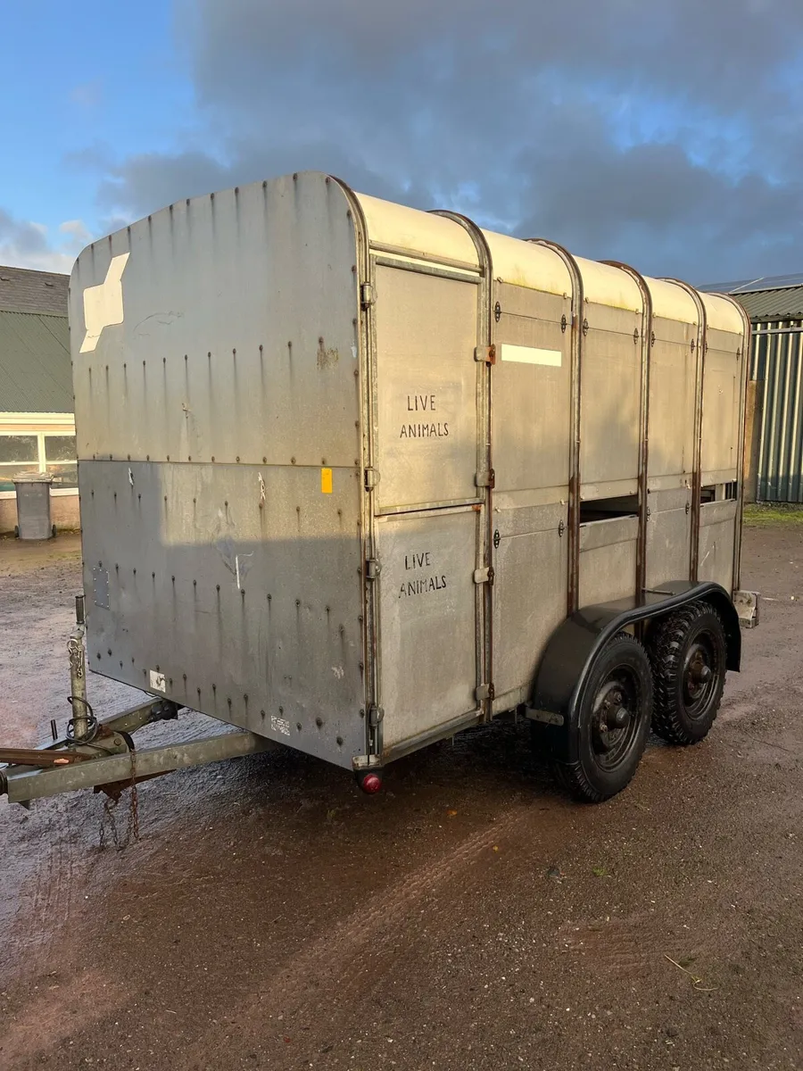 10x6 cattle Tralier - Image 1