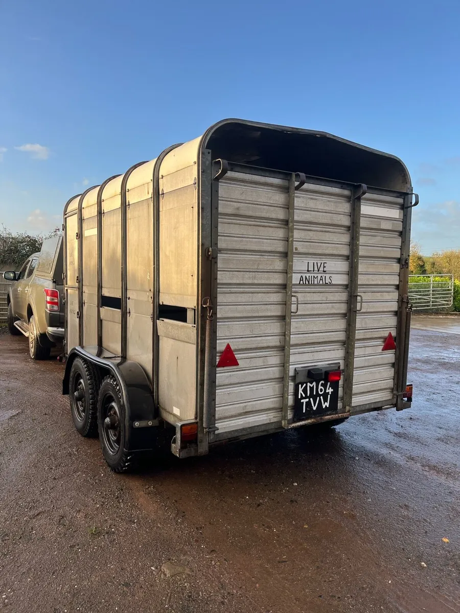 10x6 cattle Tralier - Image 3