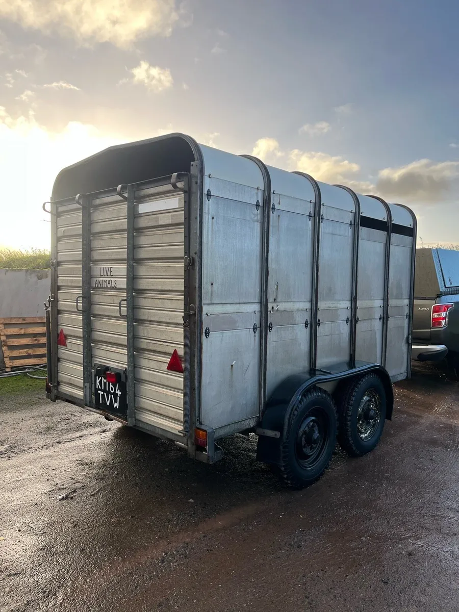 10x6 cattle Tralier - Image 4