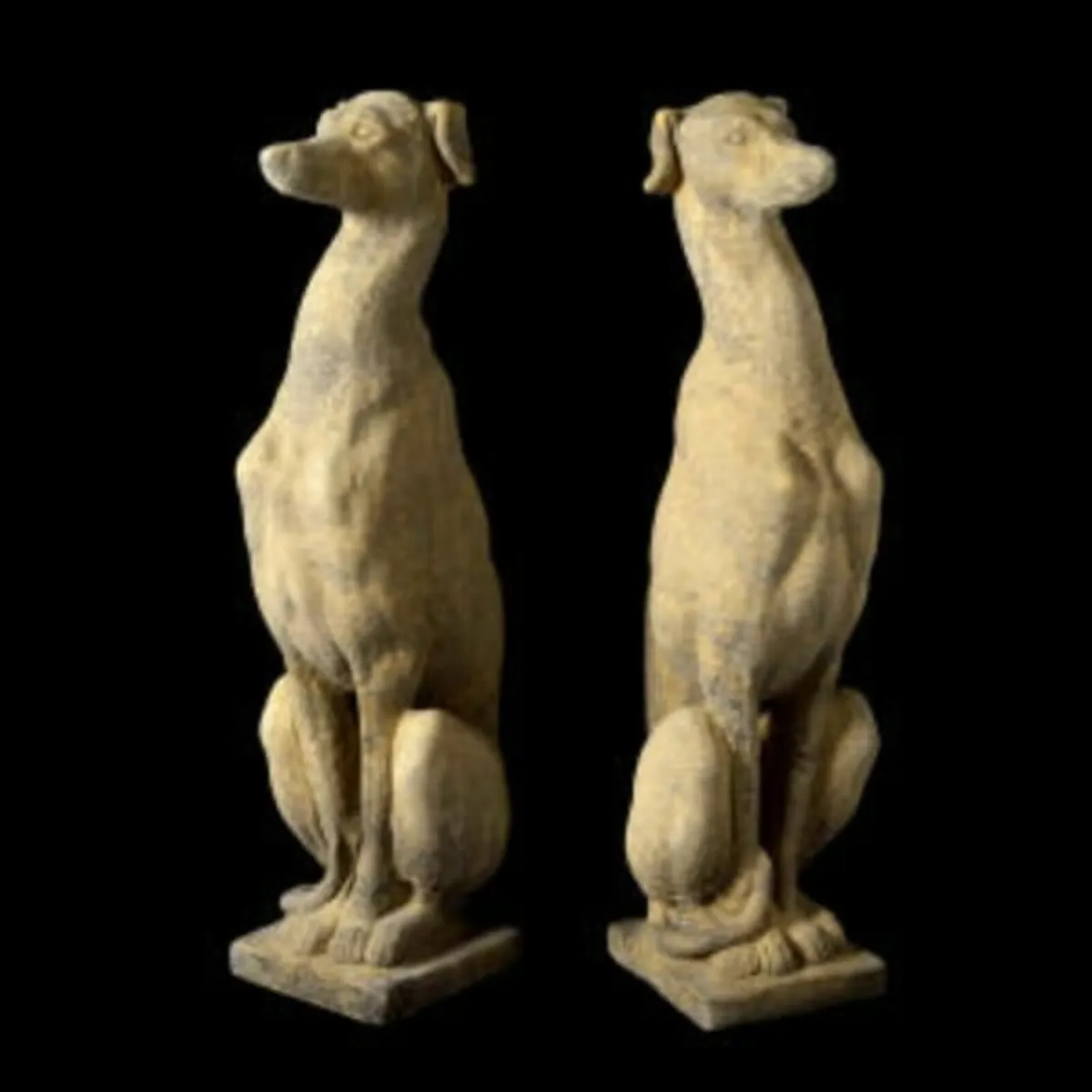 Large Sitting Greyhounds EG002
