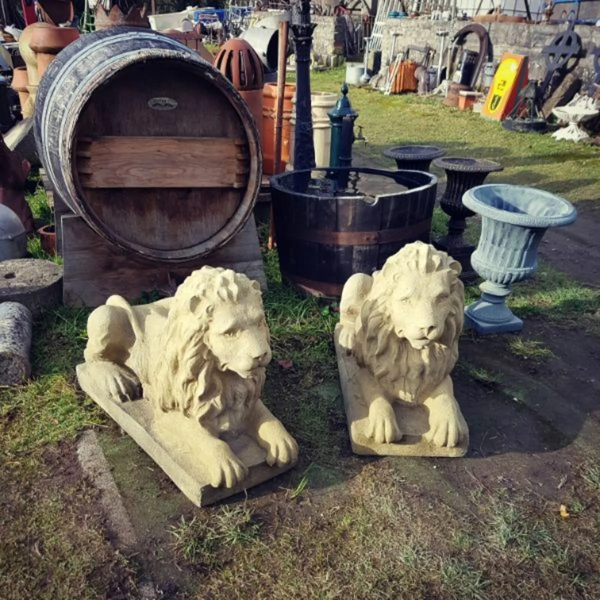 Langport Lions – Pair – EG029 - Image 1