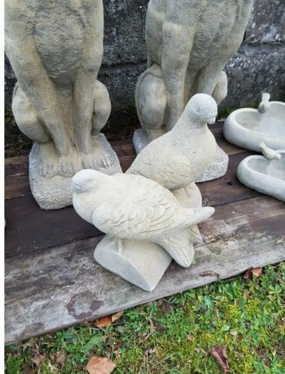 Log Pigeons EG046 - Image 2