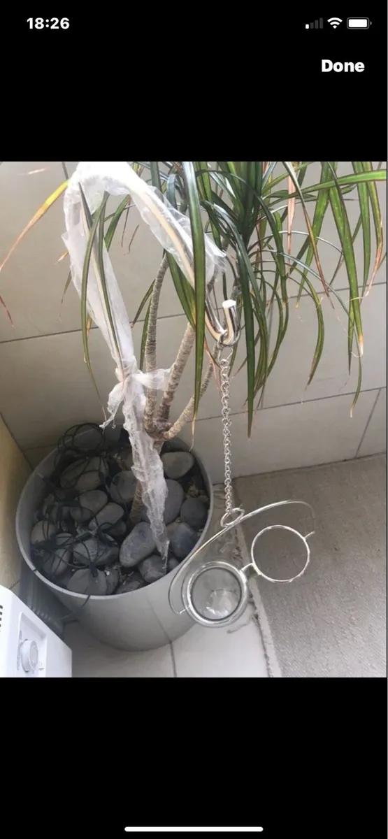 Garden Candle Set - Image 2