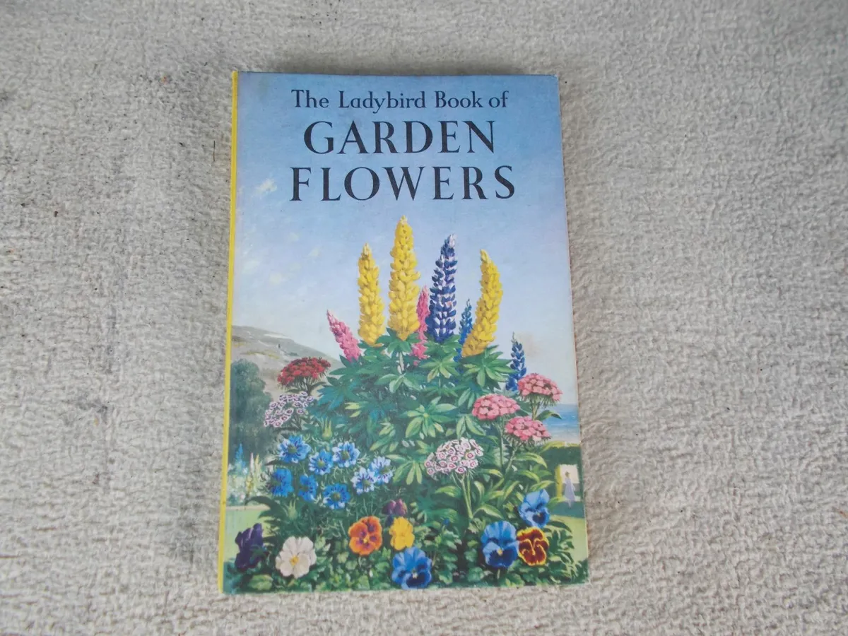 Rare Ladybird Book from 1960 - Image 1