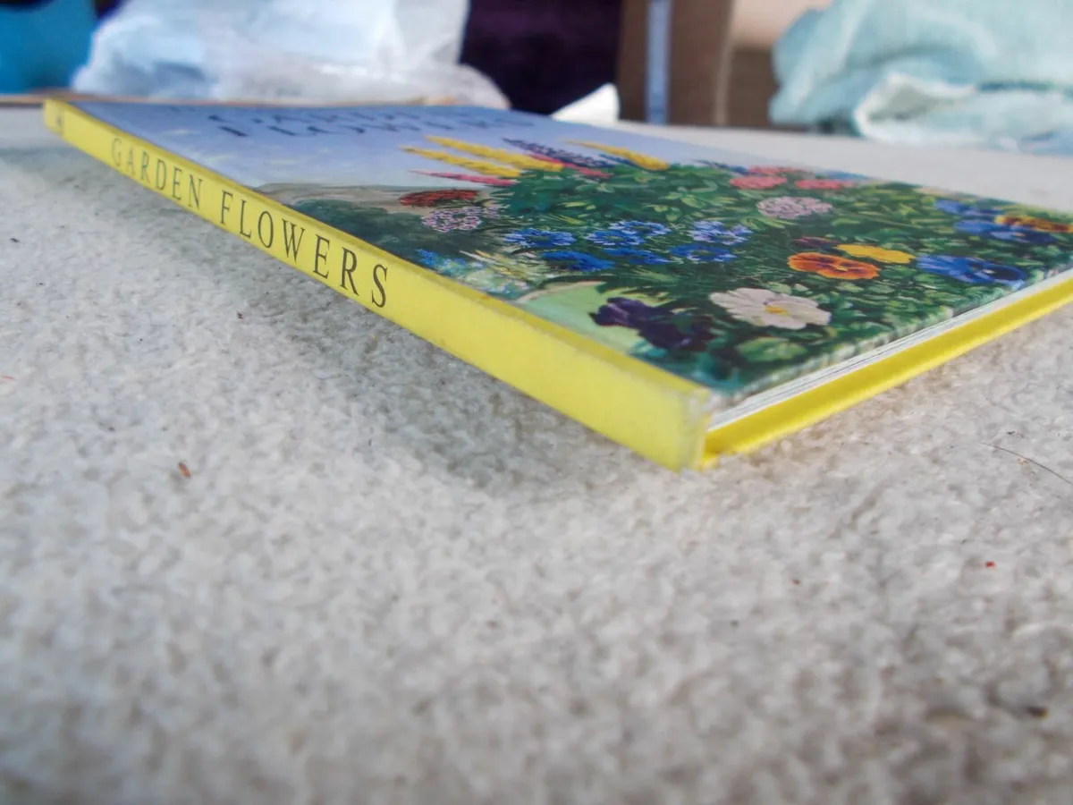 Rare Ladybird Book from 1960 - Image 2