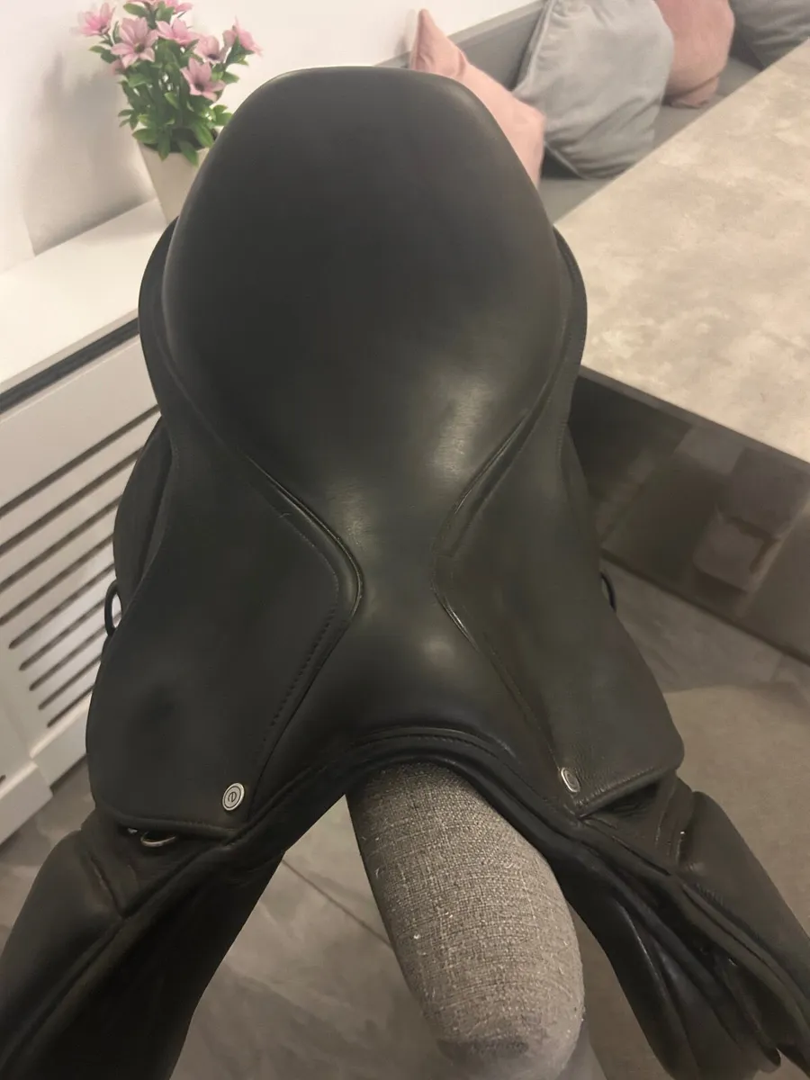 Saddle 17.5 jump - Image 4