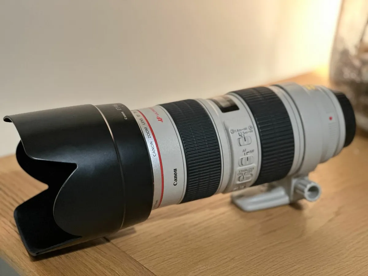 Canon EF 70-200mm f/2.8 L IS USM - Image 1