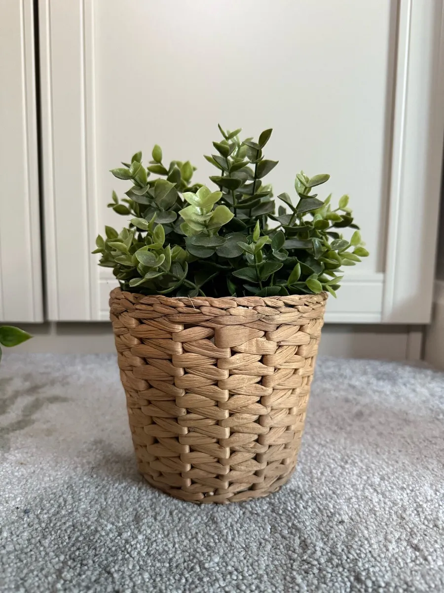 4 Artificial plants & Pots - Image 3