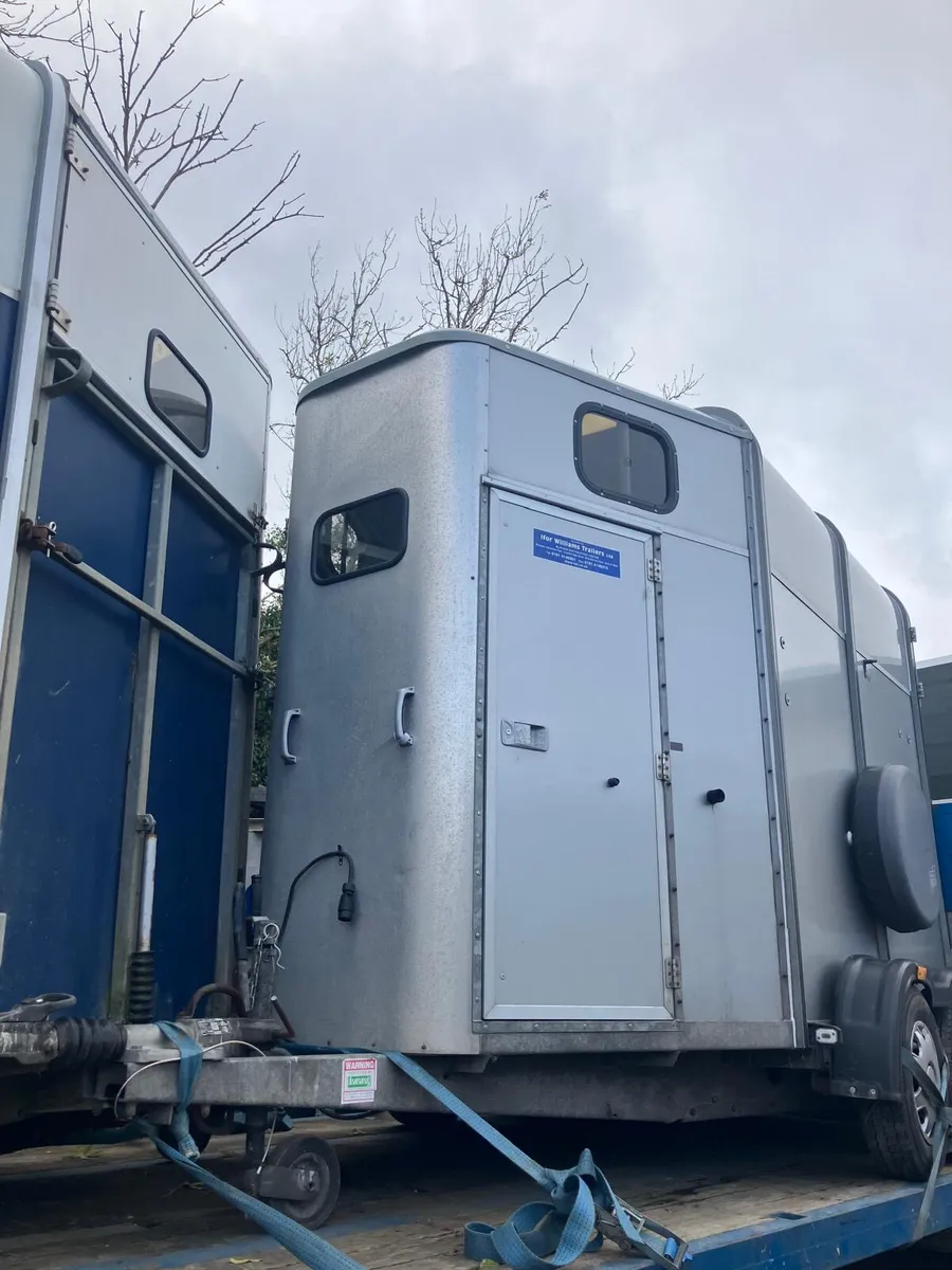 Ifor Williams 505 classic horse box