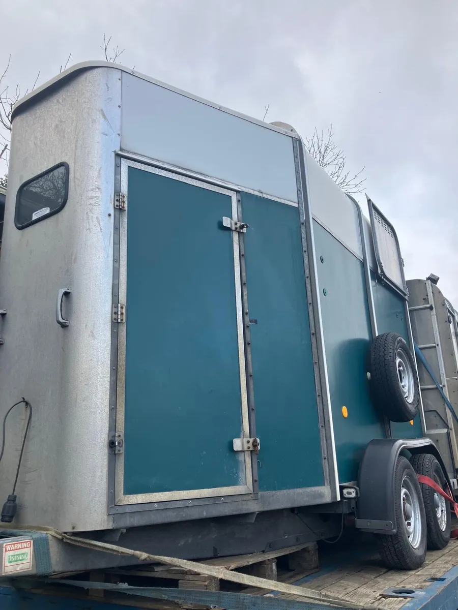 Ifor Williams 505 horse box